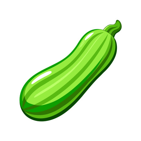 Green zucchini isolated on a white background. Vector illustration.のイラスト素材