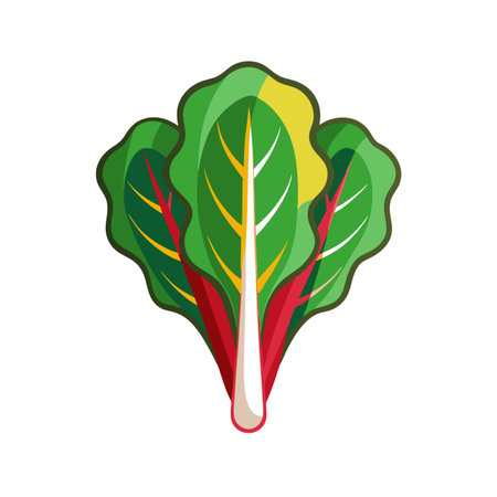 Chard vegetable icon. Flat illustration of chard vegetable vector icon for webのイラスト素材