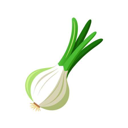 Onion vegetable icon. Isolated on white background. Vector illustration.のイラスト素材