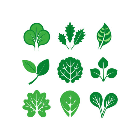 Set of green leaf icons. Vector illustration isolated on white background.のイラスト素材