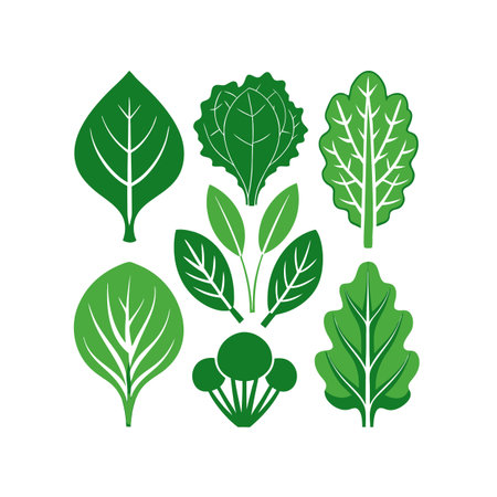 Set of green leaves. Vector illustration. Isolated on white background.のイラスト素材