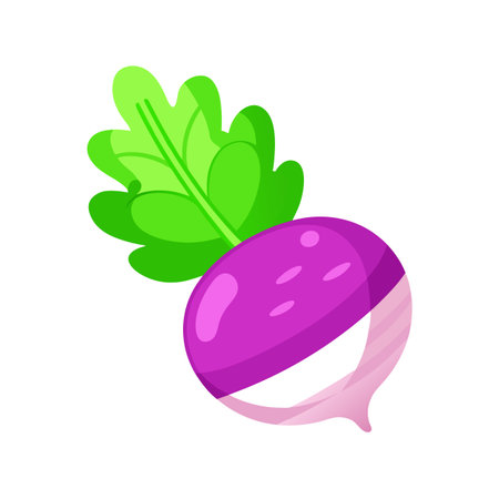 Radish vegetable icon. Cartoon illustration of radish vegetable vector icon for web designのイラスト素材