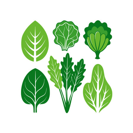 Set of green leaves. Vector illustration isolated on a white background.のイラスト素材