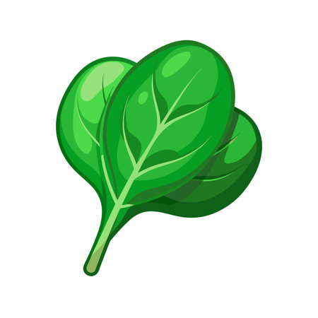 Spinach leaves icon. Cartoon illustration of spinach leaves vector icon for web designのイラスト素材