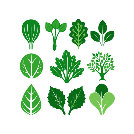 Set of green leaves. Vector illustration isolated on a white background.のイラスト素材