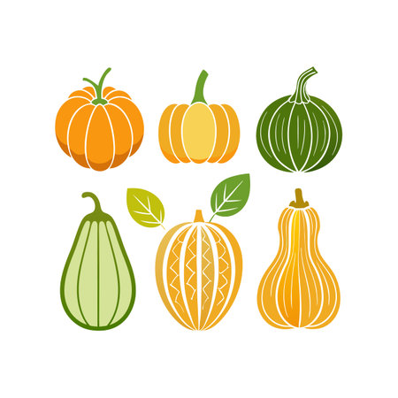 Set of pumpkins. Vector illustration isolated on a white background.のイラスト素材