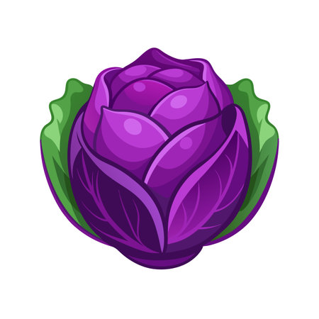 Purple cabbage icon. Cartoon illustration of purple cabbage vector icon for web designのイラスト素材