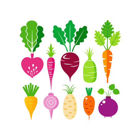 Set of vegetables. Carrots, beets, beets, turnips, carrots. Vector illustrationのイラスト素材