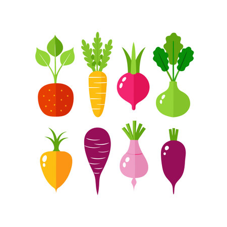 Vegetable set. Carrot, beet, radish, carrot, parsnip, beetroot. Vector illustration.のイラスト素材