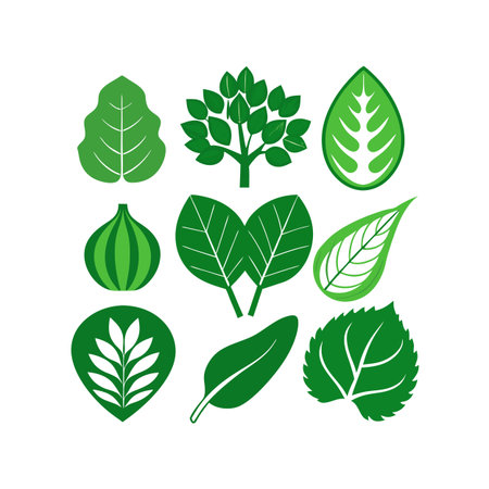 Leafs design over white background, vector illustration. Eps 10.のイラスト素材
