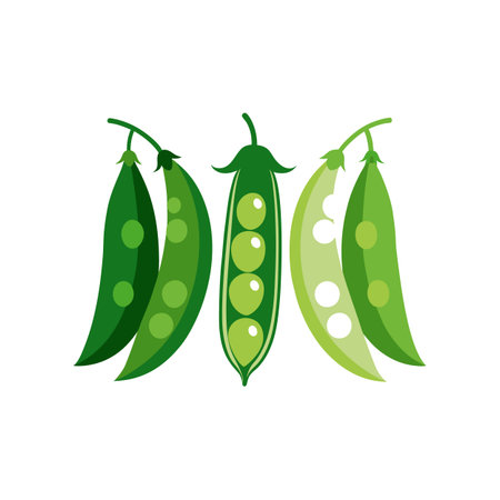 Green peas isolated on white background. Vector illustration in flat style.のイラスト素材