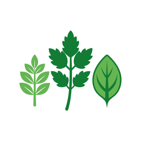 Parsley icon on background for graphic and web design. Simple vector sign. Internet concept symbol for website button or mobile appのイラスト素材