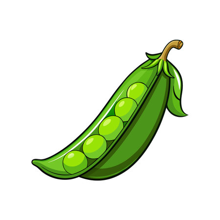 Pea pod icon. Cartoon of peas pod vector icon for web design isolated on white backgroundのイラスト素材