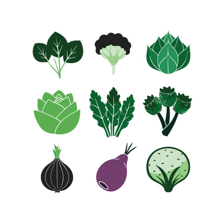Vegetables set. Cabbage, onion, beet, cauliflower, broccoli, radish, cabbage, cabbage. Vector illustrationのイラスト素材