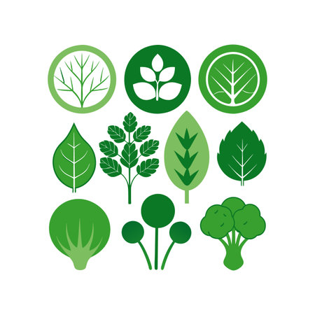vegetarian food design, vector illustration eps10 graphic.のイラスト素材