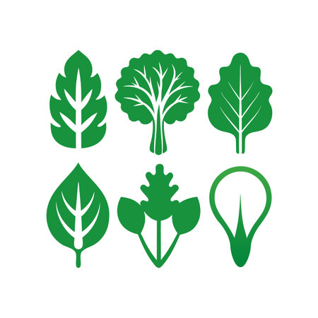 Set of green leaves icons isolated on white background. Vector illustration.のイラスト素材