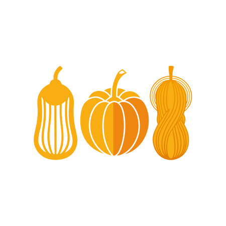 Set of pumpkins isolated on a white background. Vector illustration.のイラスト素材