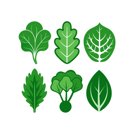 Set of green leaves. Vector illustration isolated on the white background.のイラスト素材