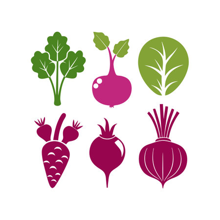 vegetables design, vector illustration eps10 graphic on white backgroundのイラスト素材
