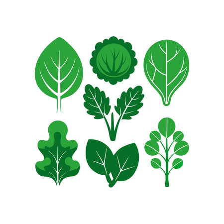 Set of green leaves. Vector illustration isolated on a white background.のイラスト素材
