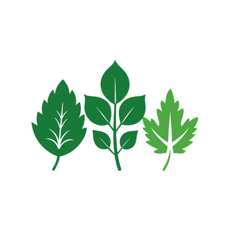 Mint leaves icon on background for graphic and web design. Simple vector sign. Internet concept symbol for website button or mobile appのイラスト素材