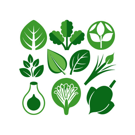 vegetables and herbs design, vector illustration eps10 graphicのイラスト素材