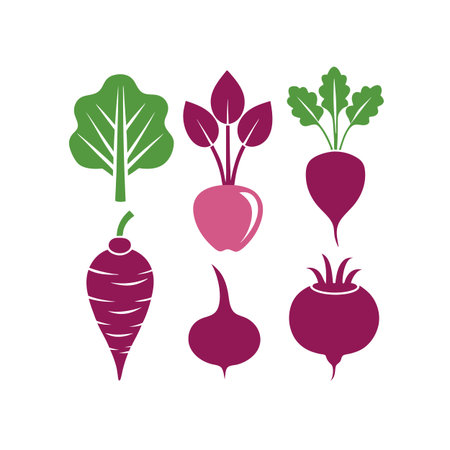 Beetroot vegetable icon set. Vegetable icons. Vector illustrationのイラスト素材