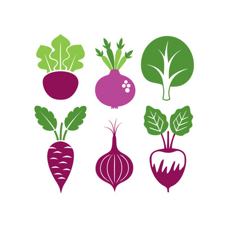 Set of beetroot icons. Vector illustration. Isolated on white background.のイラスト素材