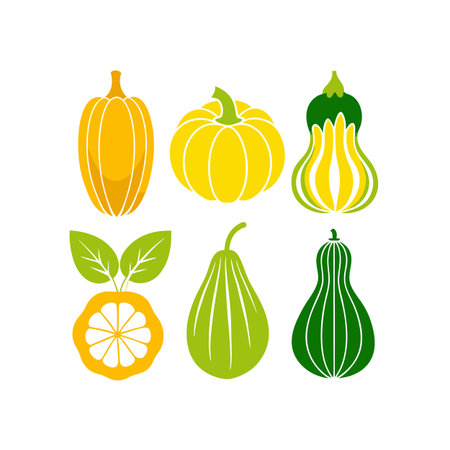 Set of different pumpkins on a white background. Vector illustration.のイラスト素材