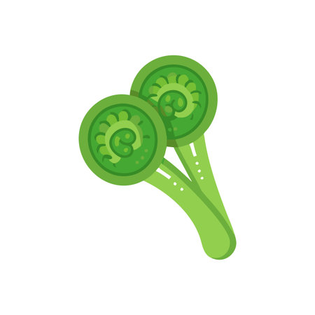 Vibrant Fiddlehead Ferns Fresh Vegetable Illustrationのイラスト素材