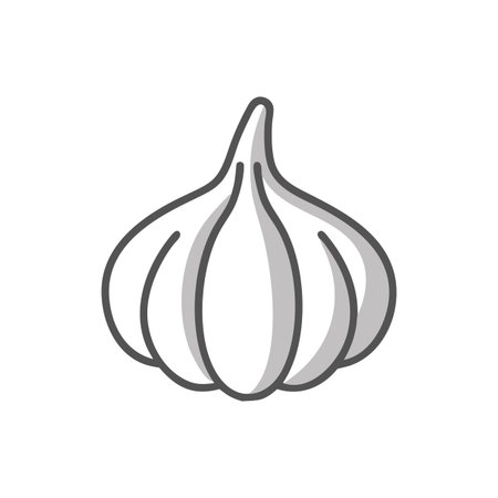 Garlic Fresh Aromatic Vegetable Iconのイラスト素材