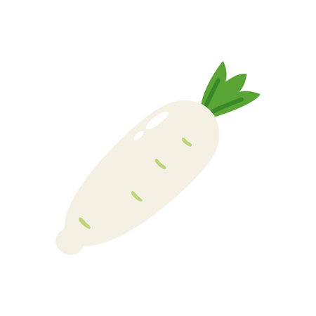 Artistic Mooli Healthy Food Designのイラスト素材
