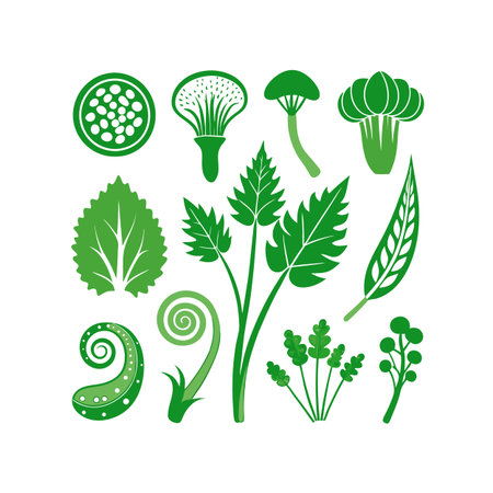 vegetables design, vector illustration eps10 graphic background.のイラスト素材