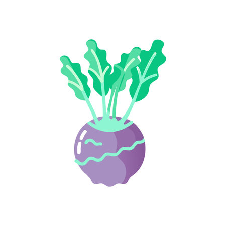 Kohlrabi Fresh Root Vegetable Iconのイラスト素材