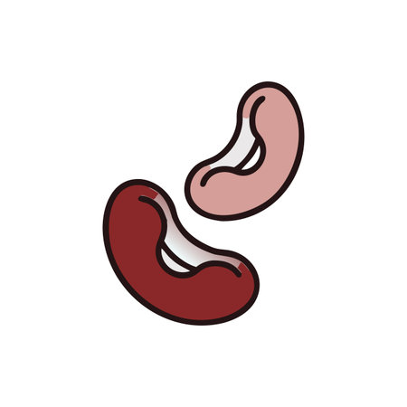 Vibrant Kidney Beans Fresh Vegetable Illustrationのイラスト素材