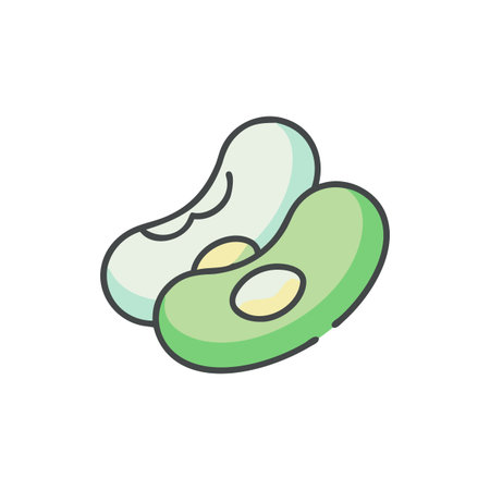 Fava Beans Fresh Vegetable Iconのイラスト素材