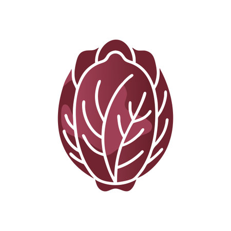 Vibrant Radicchio Fresh Vegetable Illustrationのイラスト素材