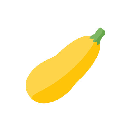 Vibrant Yellow Squash Fresh Vegetable Illustrationのイラスト素材
