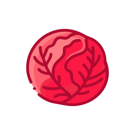 Vibrant Red Cabbage Fresh Vegetable Illustrationのイラスト素材