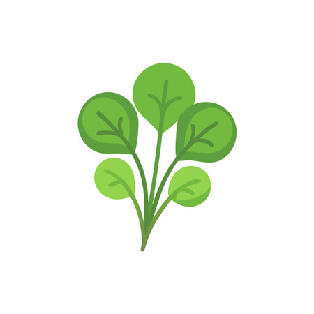 Vibrant Watercress Fresh Herb Illustrationのイラスト素材