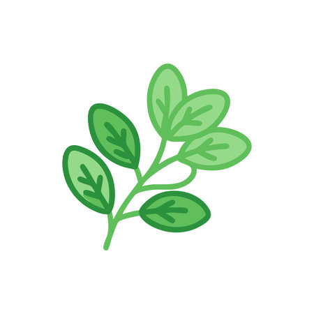 Oregano Fresh Herb Vegetable Iconのイラスト素材