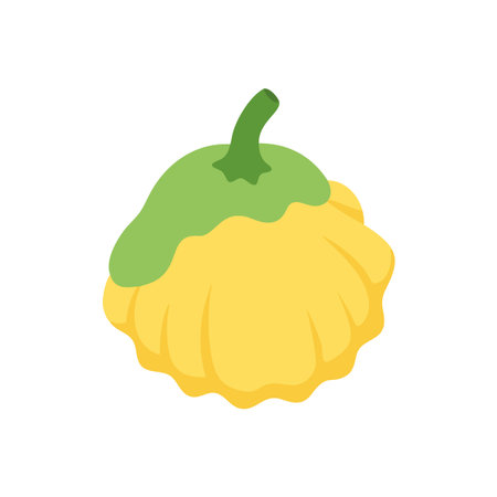 Creative Pattypan Squash Culinary Designのイラスト素材