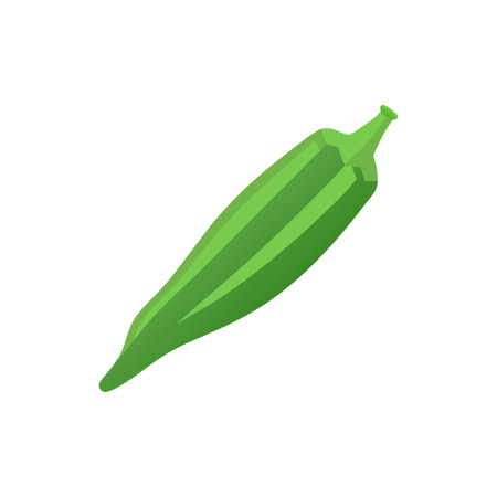 Creative Okra Culinary Representationのイラスト素材