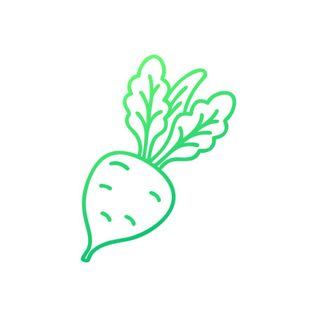 Radish Fresh Vegetable Culinary Iconのイラスト素材