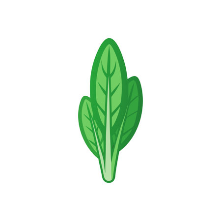 Vibrant Sorrel Fresh Herb Illustrationのイラスト素材