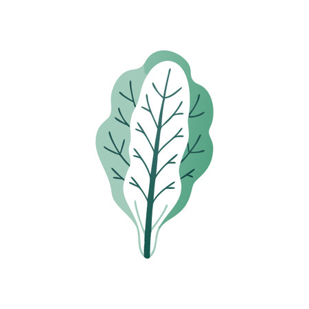 Artistic Swiss Chard Healthy Food Designのイラスト素材
