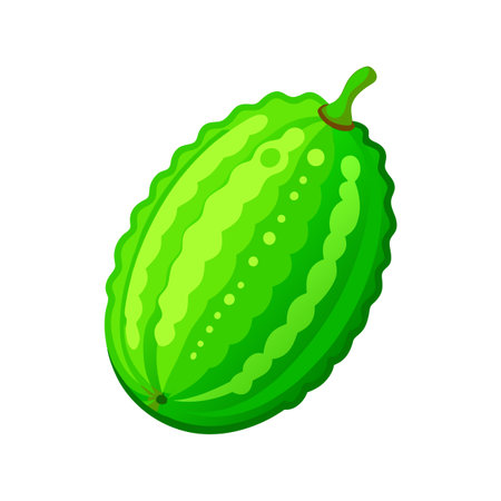 Bitter melon icon. Cartoon illustration of bitter melon vector icon for web designのイラスト素材