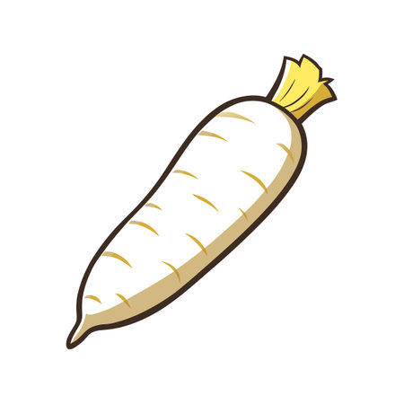 Daikon radish isolated on white background. Vector illustration.のイラスト素材