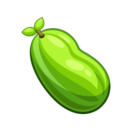 Papaya fruit icon. Cartoon illustration of papaya fruit vector icon for webのイラスト素材