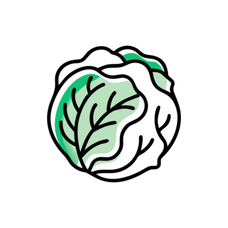 Cabbage icon on white background. Vector illustration in flat style.のイラスト素材